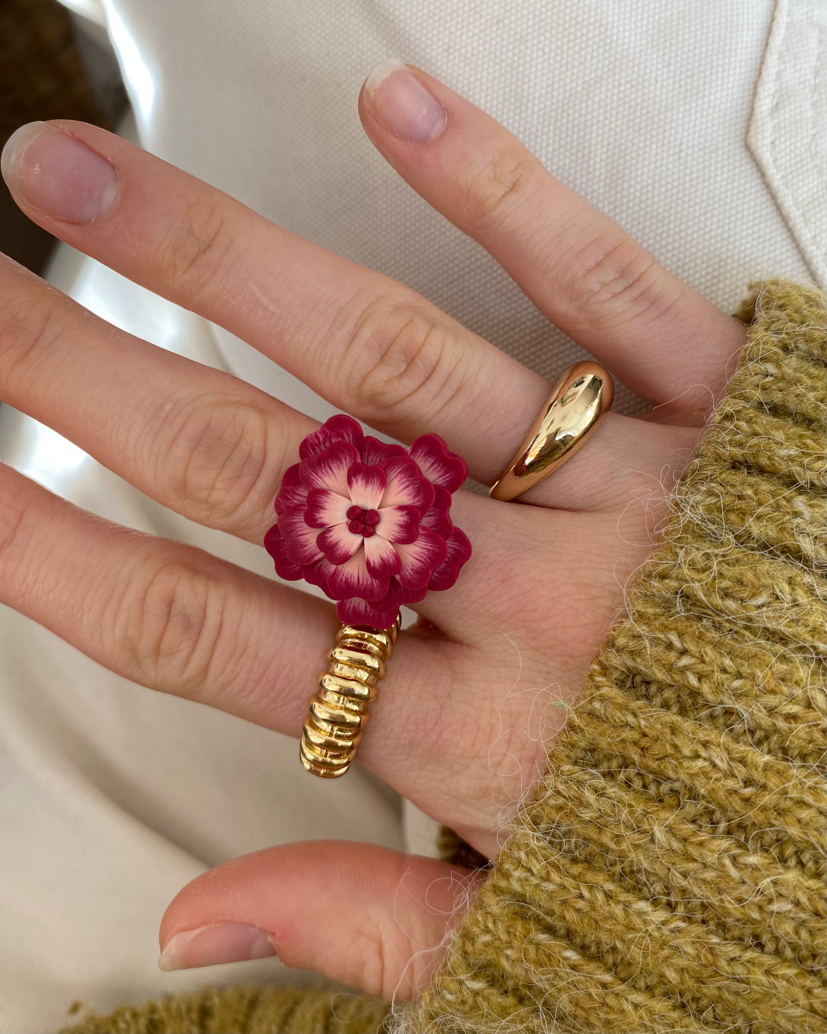 Anillos